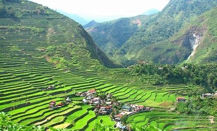 Banaue Rice hills image